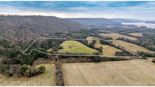 Parker-50-Lines-1.001