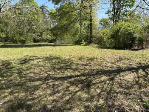 Photo-Apr-16-2025-3-49-17-PM