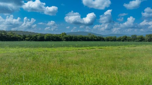 Woodville-06